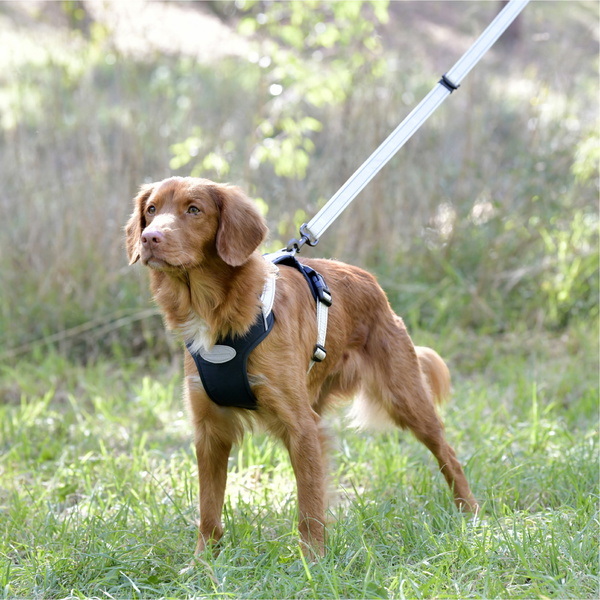 Weatherbeeta Explorer Hundegeschirr 101819800 - Navy